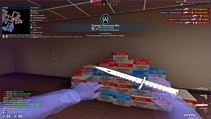 csgo_t2VmtNnPWX