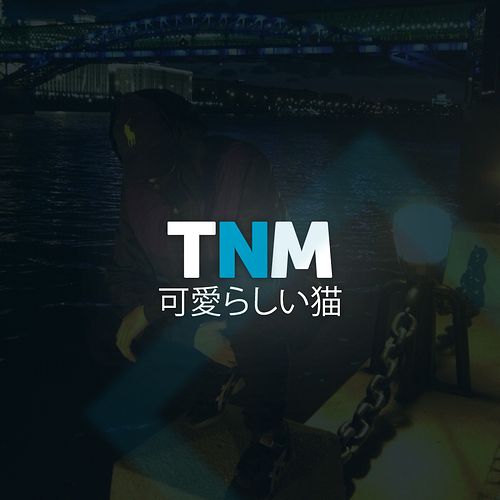 TNM1