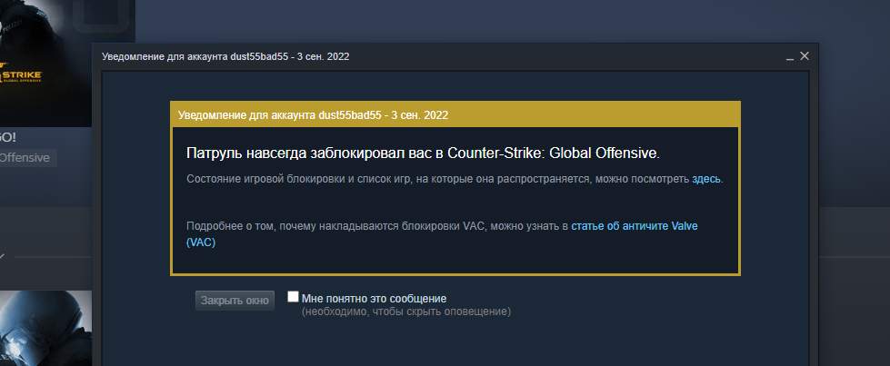 Банит через пару часов - Problems - Neverlose.cc - Forum