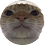 2114