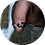 3210234062