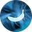 4dl2ff