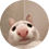 _hugiman47