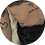aarexon