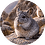 aga12