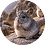 aga12
