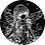 alehvh