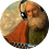 Allah