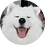 Angelo_12