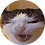 bau