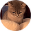 BenkoEduard