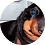 BotCharlie
