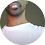 cacacal49