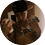 cammmm