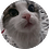 cblyg