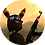 ccohd