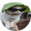 chocom1nt
