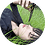 cloxid