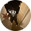 Coddy