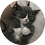 cruZ