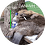 danhvh