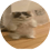 depressivmax