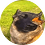 dimasakypa