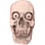 Dr4sTe