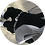drogendelikt