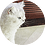 dsfeee
