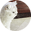 dsfeee