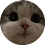 dvstsft