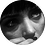 dysonPeek