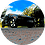 dzk266