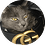 ElijahCat