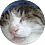 embern