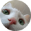 epicunicow