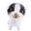 esskizi