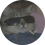 FarQuadrix