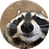fikslegendik