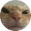 Floppa420