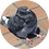 frapii