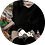 Frayz1337