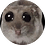 gm_cringe