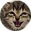Gruni