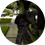 Hejustaims