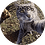 hvhking777