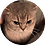 ilikeemdry