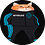 ins