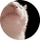 iv4n999